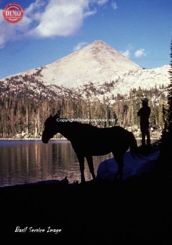 Man Horse Glen’s Peak Sawtooths