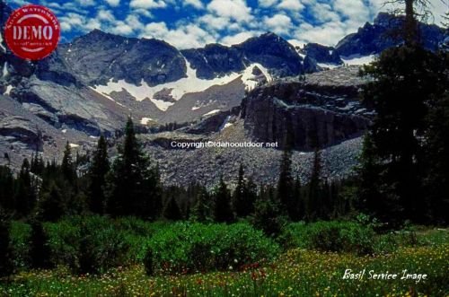 Boulder Creek Basin Pioneer Mountains