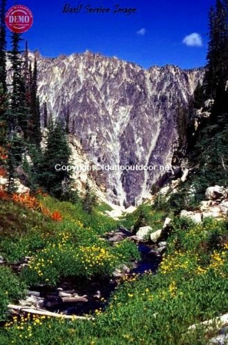 War Bonnet Peak Valley Wildflowers