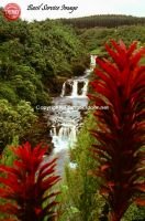 Water Fall Big Island Hawaii 