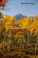 Mount Heyburn Fall Aspens Fishhook Canyon 