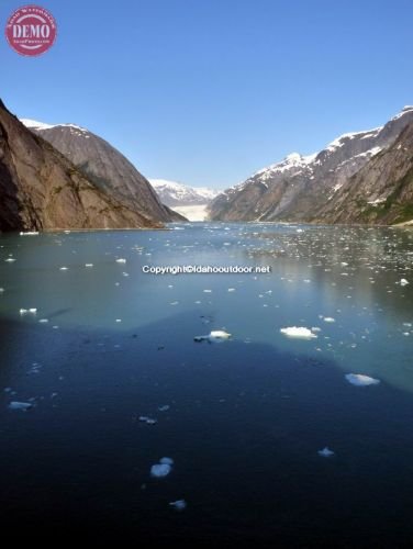 Tracie Arm Fiord Alaska Glacier 