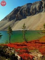 White Cloud Wilderness Fall Colors