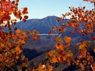 Fall Aspens Sun Valley Bald Mountain 