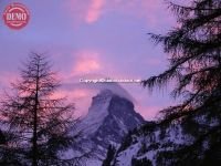 Evening Sunset Matterhorn Switzerland