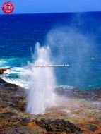 Ocean Blowhole Hawaiian Island Kauai