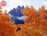 Mount Heyburn Aspens Sawtooths