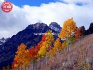 Thompson Peak Fishhook Aspens Sawtooths 