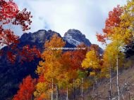 Sawtooths Thompson Peak Fishhook Aspens 