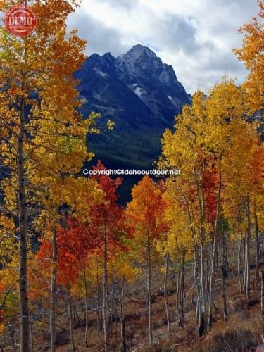 Sawtooths Horstman Peak Fishhook Ridge  