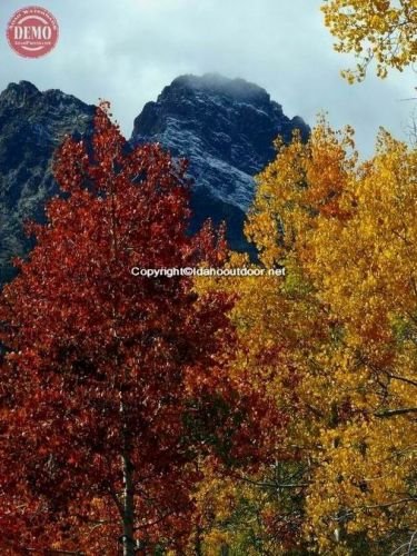 Aspens Sawtooths Thompson Peak Fishhook 