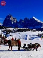 Dolomites Val Gardenia Italy Horse Sleigh 