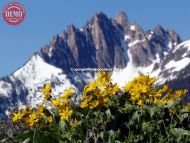 Mount Heyburn Fishhook Ridge Sawtooths