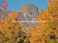 Thompson Peak Fall Colors Fishhook Ridge 