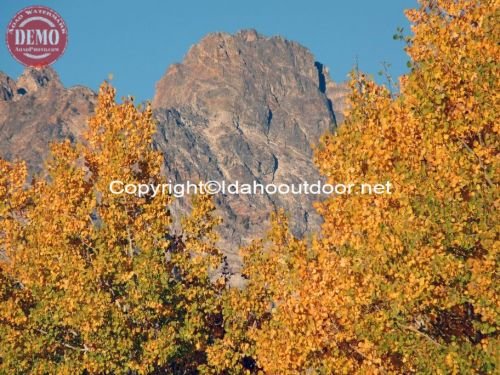 Thompson Peak Fall Colors Fishhook Ridge 