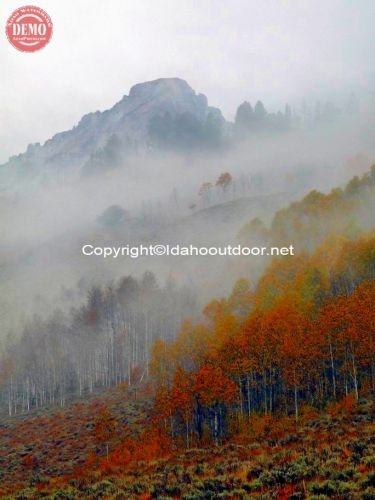 Fall Fishhook Fog Sawtooths