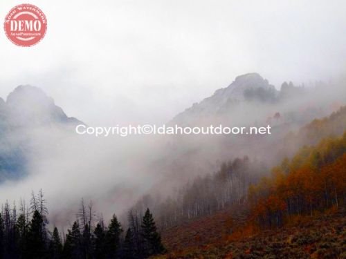 Fog Fall Fishhook Sawtooths