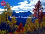 Sawtooths Fall Colors Fishhook Ridge Aspens 