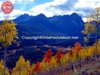 Aspens Fishhook Ridge Sawtooths Fall Colors