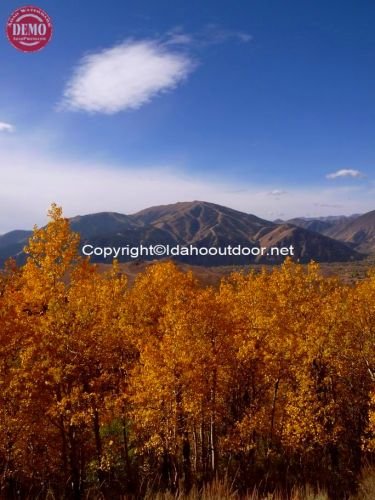 Bald Mountain Fall Colors Proctor Mountain