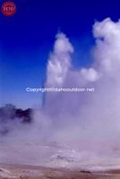 New Zealand Rotarua Geyser 