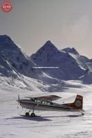 Airplane Tasman Mount Cook Glacier 