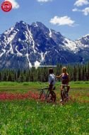 Mountain Bikers McGown Peak Wildflowers