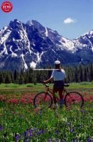 McGown Peak Mountain Bikers Wildflowers 