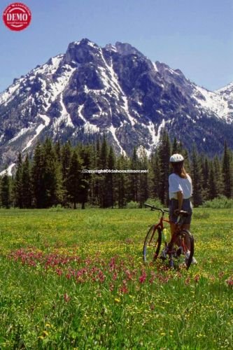 McGown Peak Wildflowers Mountain Bikers 