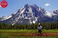 Mount McGown Wildflowers Mountain Bikers 