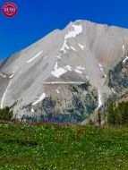 White Cloud Mountains Wildflowers