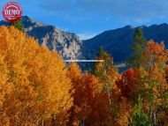 Boulder Mountains Fall Colors 