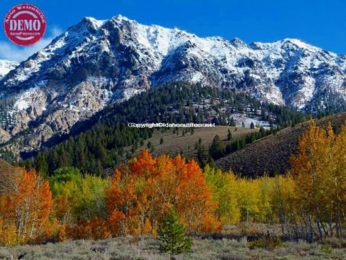 Fall Colors Boulder Mountains