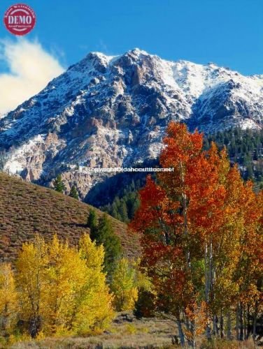 Boulder Mountains Fall Color