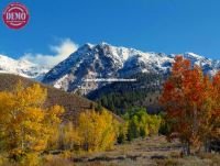Fall Color Boulder Mountains