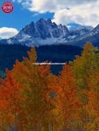 Sawtooths Fall Fishhook Creek Ridge 