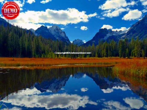 Beaver Ponds Mirror Fishhook Creek