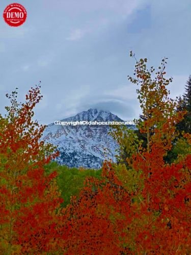 Pioneers Cob Mountain Fall