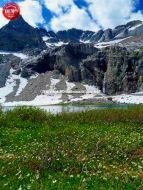 Wildflowers Kane Lake Pioneers