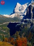 Fall Colors Murren Eiger