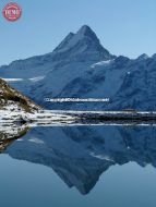 First Lake Schreckhorn Reflections