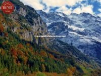 Colors of Fall Leissigen Switzerland