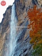 Lauterbrunnen Waterfall Fall Colors