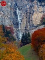 Lauterbrunnen Waterfall Fall Color