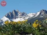 Mount Heyburn Wildflowers Fishhook Ridge