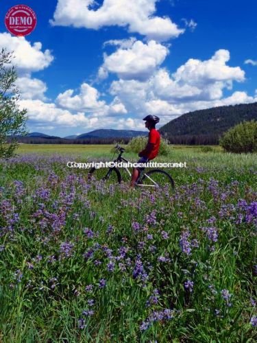 Mountain Biker Elk Meadows Sawtooths