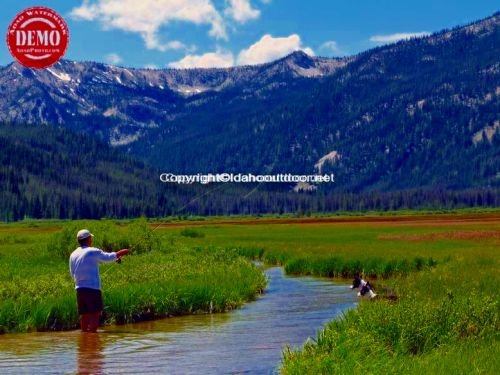 Fly Fishing Elk Meadows Sawtooths