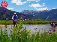 Elk Meadows Sawtooths Fly Fishing 