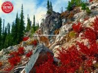 Sophie Kelly Lake Peak Sawtooths