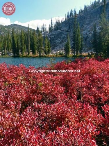 Fall Colors Kelly Lake Sawtooths